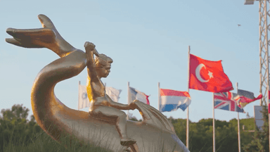 Altın Yunus 1
